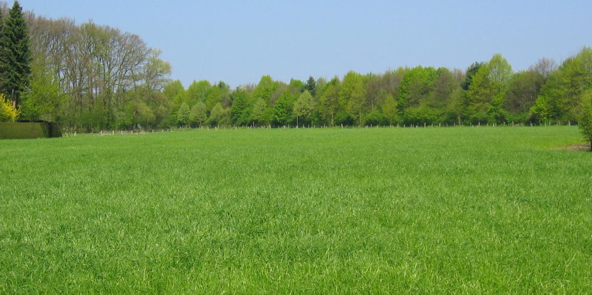 Ferien 2018 in Lippstadt