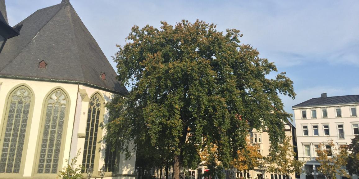 Russische Restaurants Lippstadt - Agentur für Zimmervermittlung ... Russische Restaurants Lippstadt - Agentur für Zimmervermittlung ...